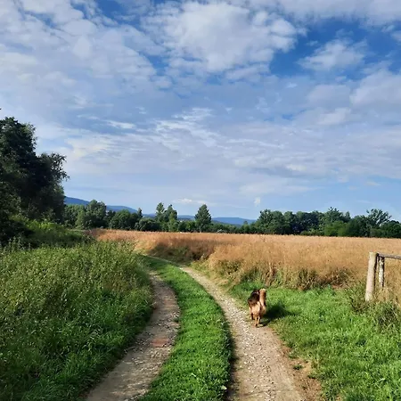Летний дом Zakatek Transformacji Luzna
