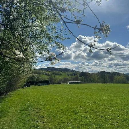 Zakatek Transformacji * Luzna