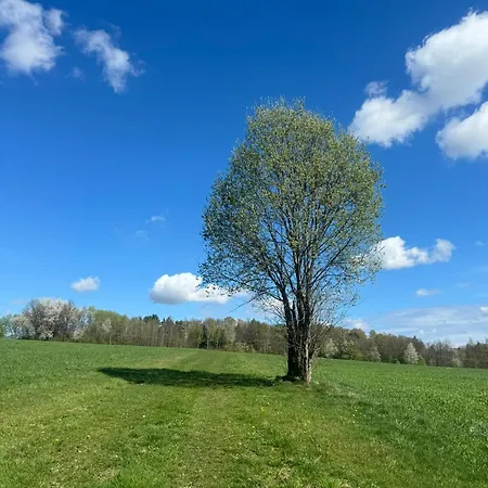 乡村民宿 Zakatek Transformacji
