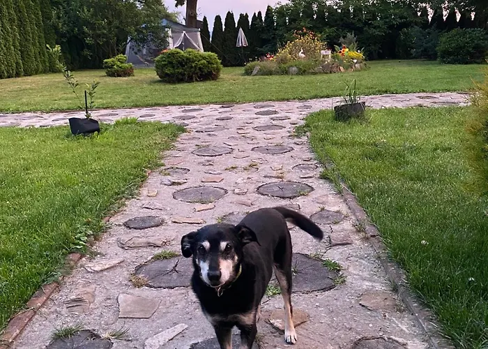 Летний дом Zakatek Transformacji *