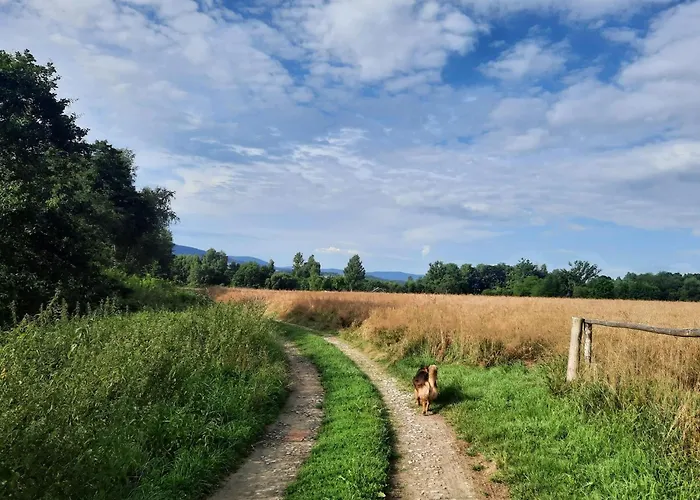 乡村民宿 Zakatek Transformacji Luzna