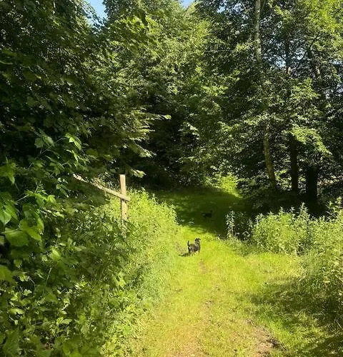 Zakatek Transformacji