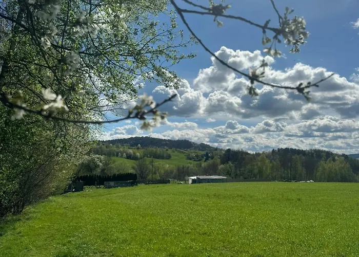 Zakatek Transformacji * Luzna