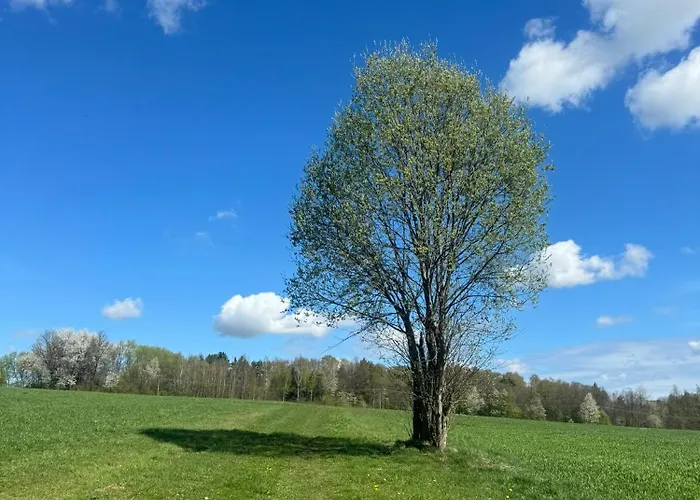 乡村民宿 Zakatek Transformacji