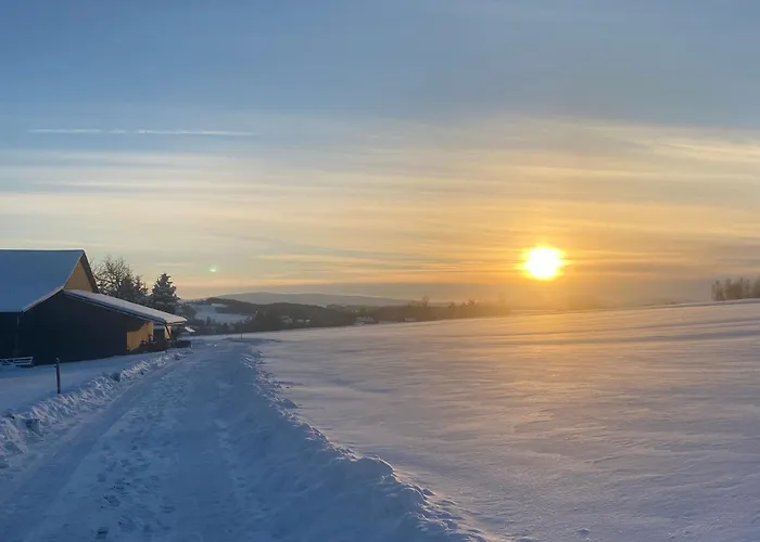 Zakatek Transformacji Luzna